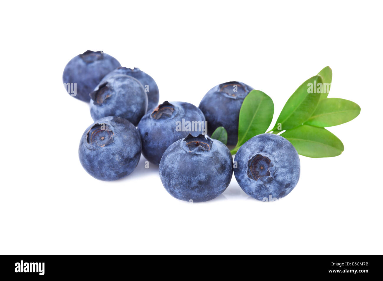 Blueberries isolated on white Stock Photo