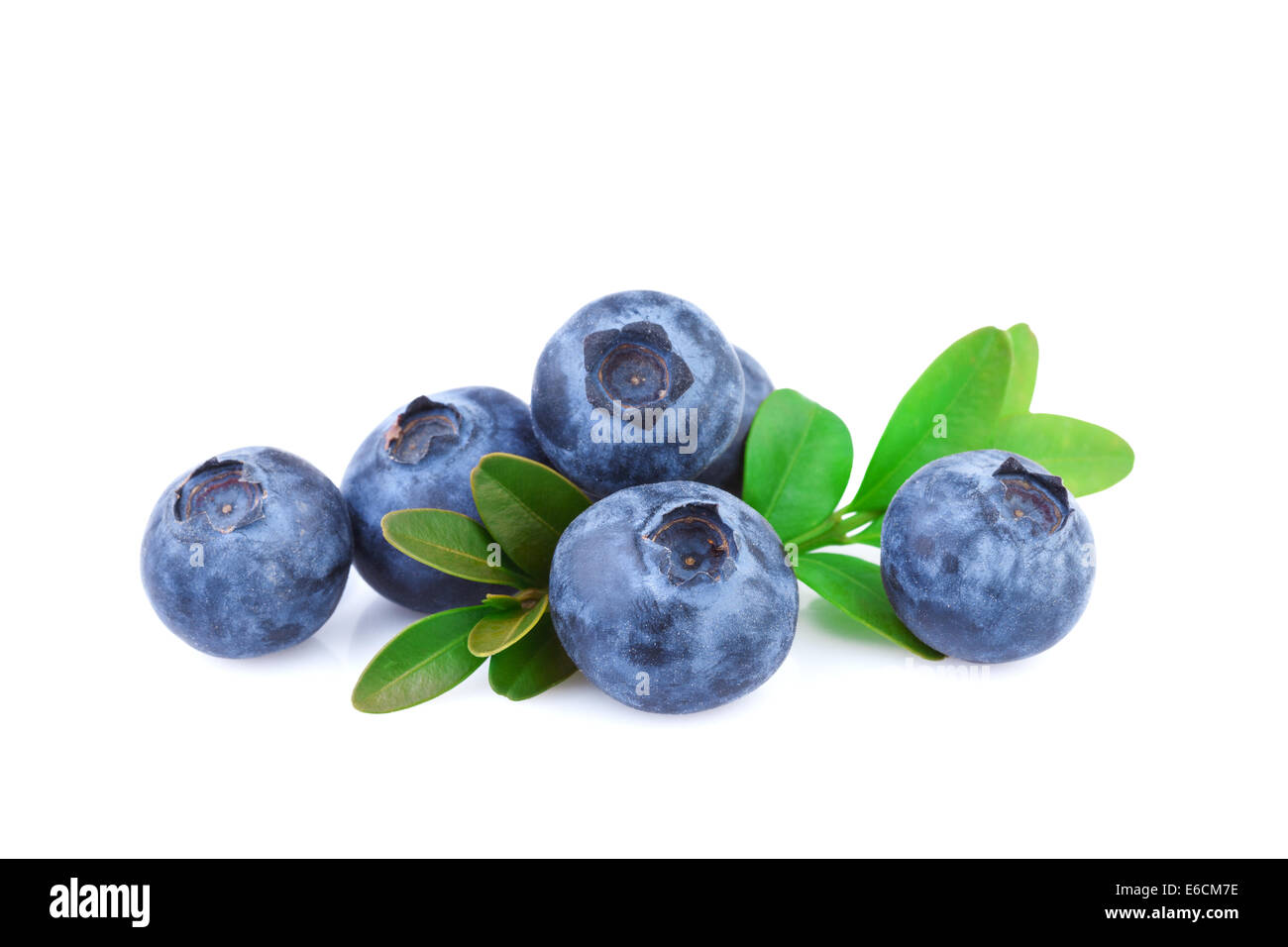 Blueberry Isolated on White Stock Photo