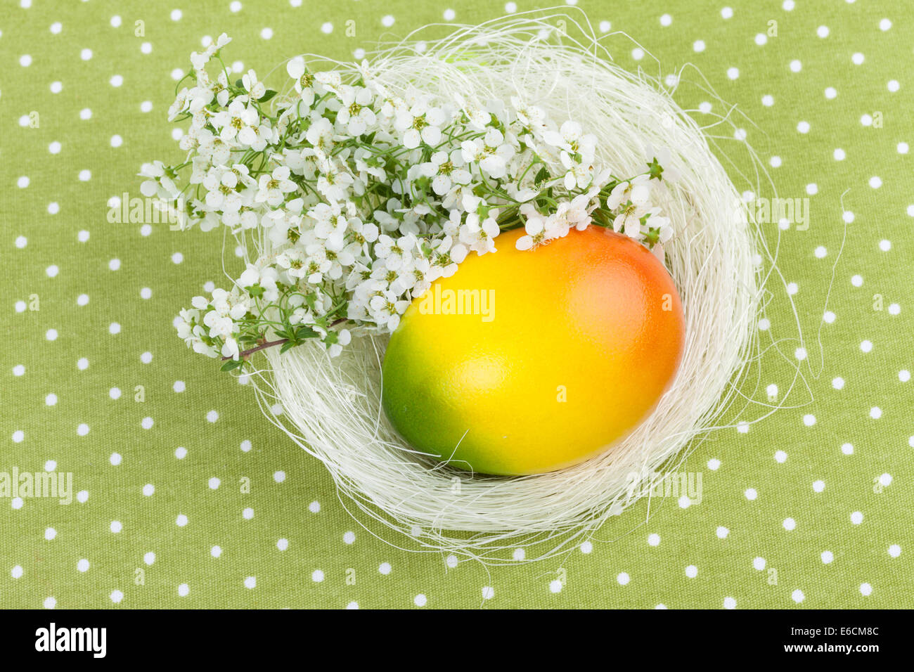 Easter Nest Decoration on Green Polka Dot Background Stock Photo