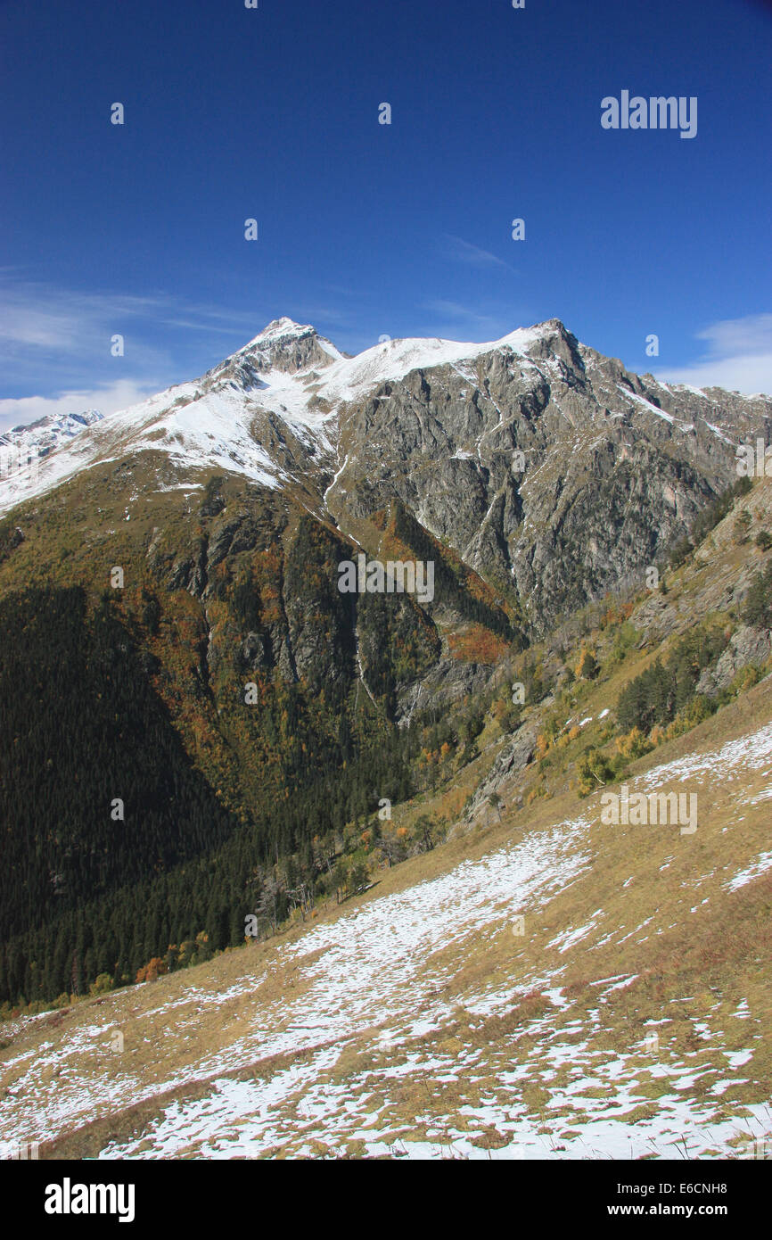 the mountain autumn landscape with colorful species of woods and ...