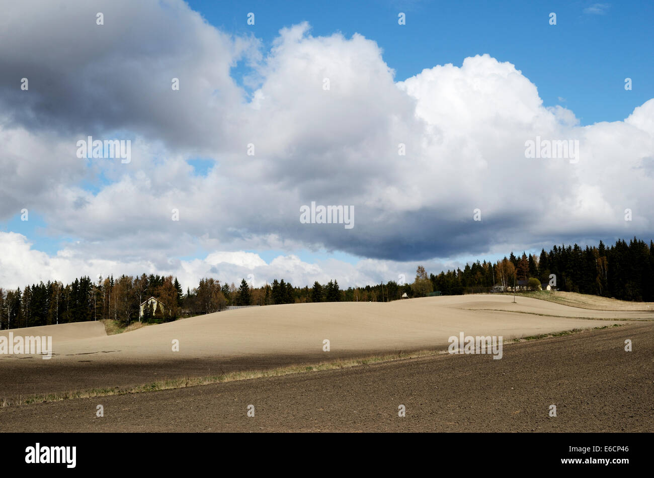 landscape with plowed field in spring, Finland Stock Photo