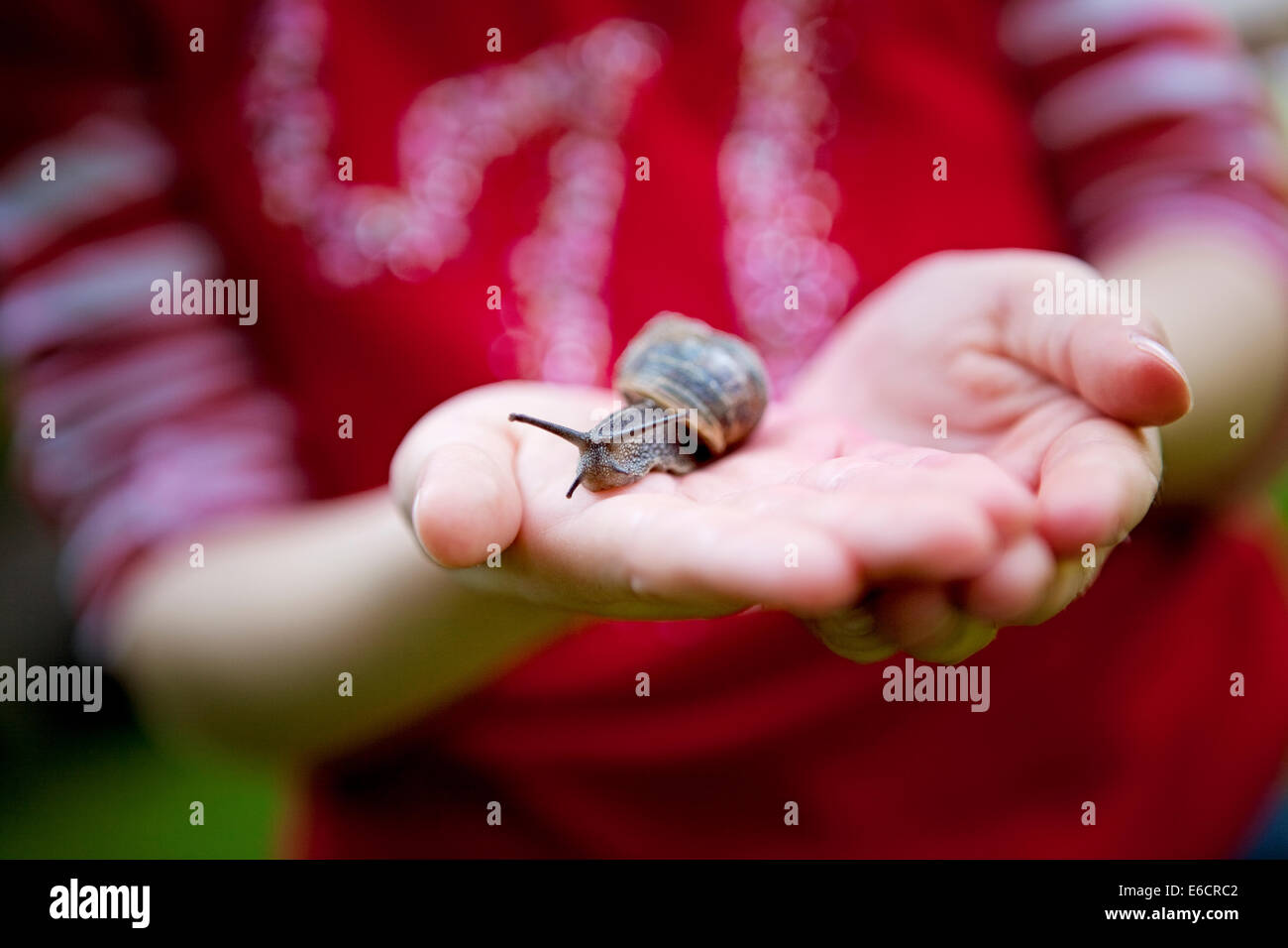 Sensory garden hires stock photography and images Alamy
