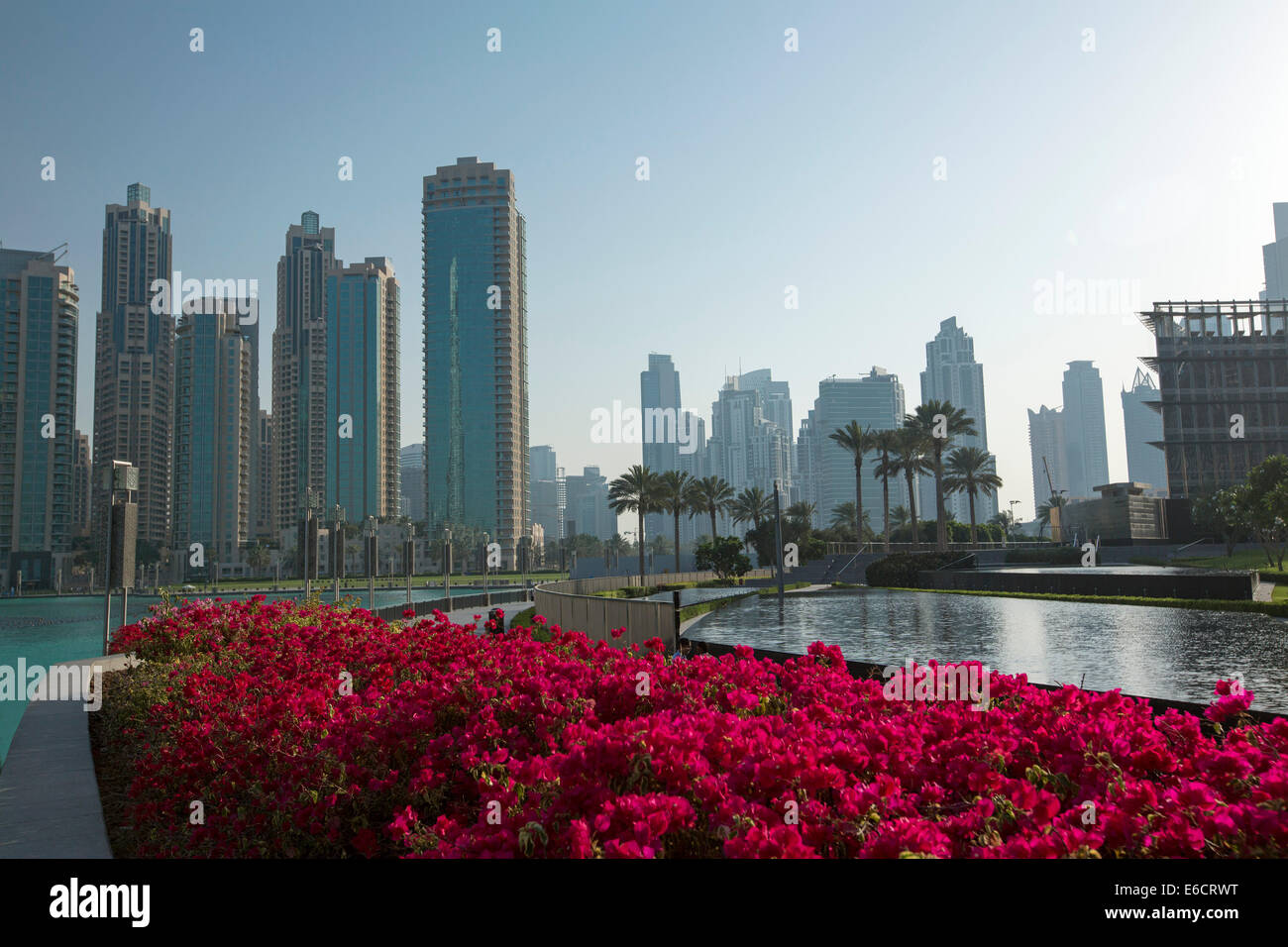 View of city skyscrapers, palm trees, and ornamental lakes hemmed with masses of vivid red flowers in desert city of Dubai UAE Stock Photo