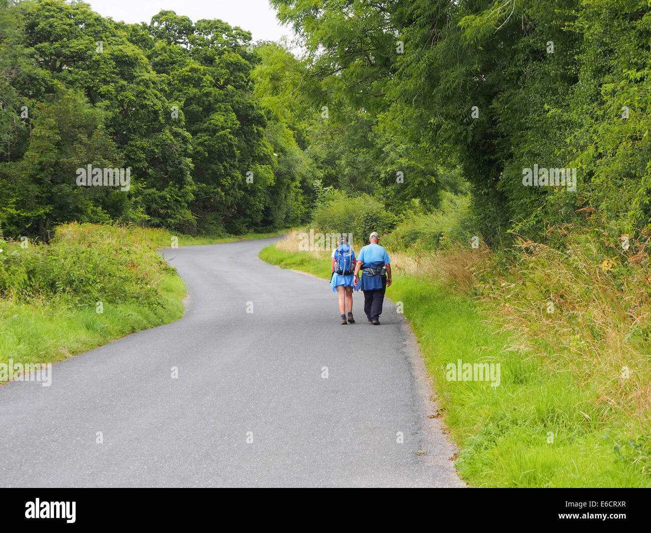 Hikers walking at the side of a country lane with no pavement. Stock Photo