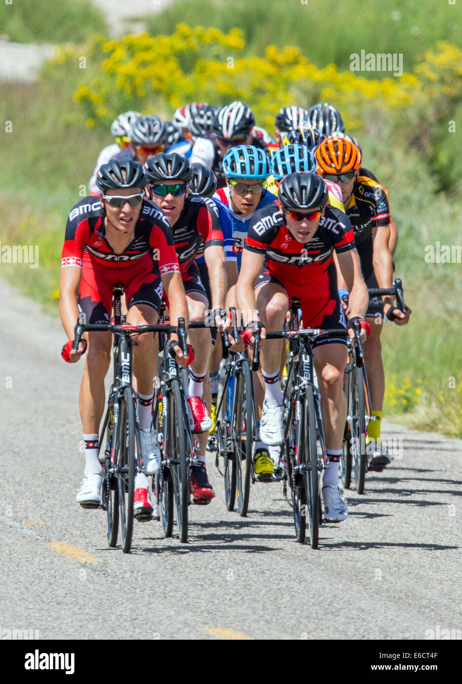 Professional bicycle racers, USA Pro Challenge bike race, Stage 3, central Colorado, USA Stock Photo