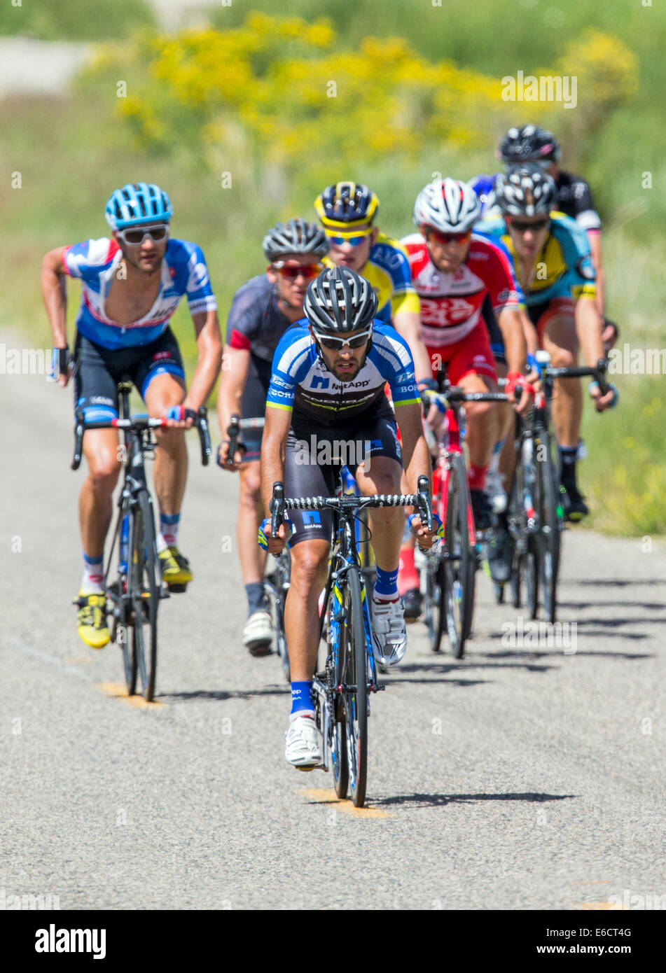 Professional bicycle racers, USA Pro Challenge bike race, Stage 3, central Colorado, USA Stock Photo