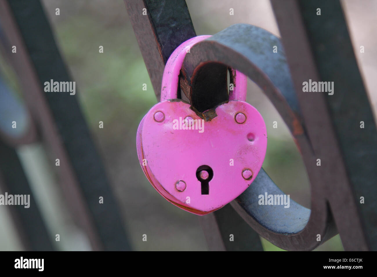 Pink wedding hinged lock lovers hanging on the fence of the bridge as a symbol of eternal love Stock Photo