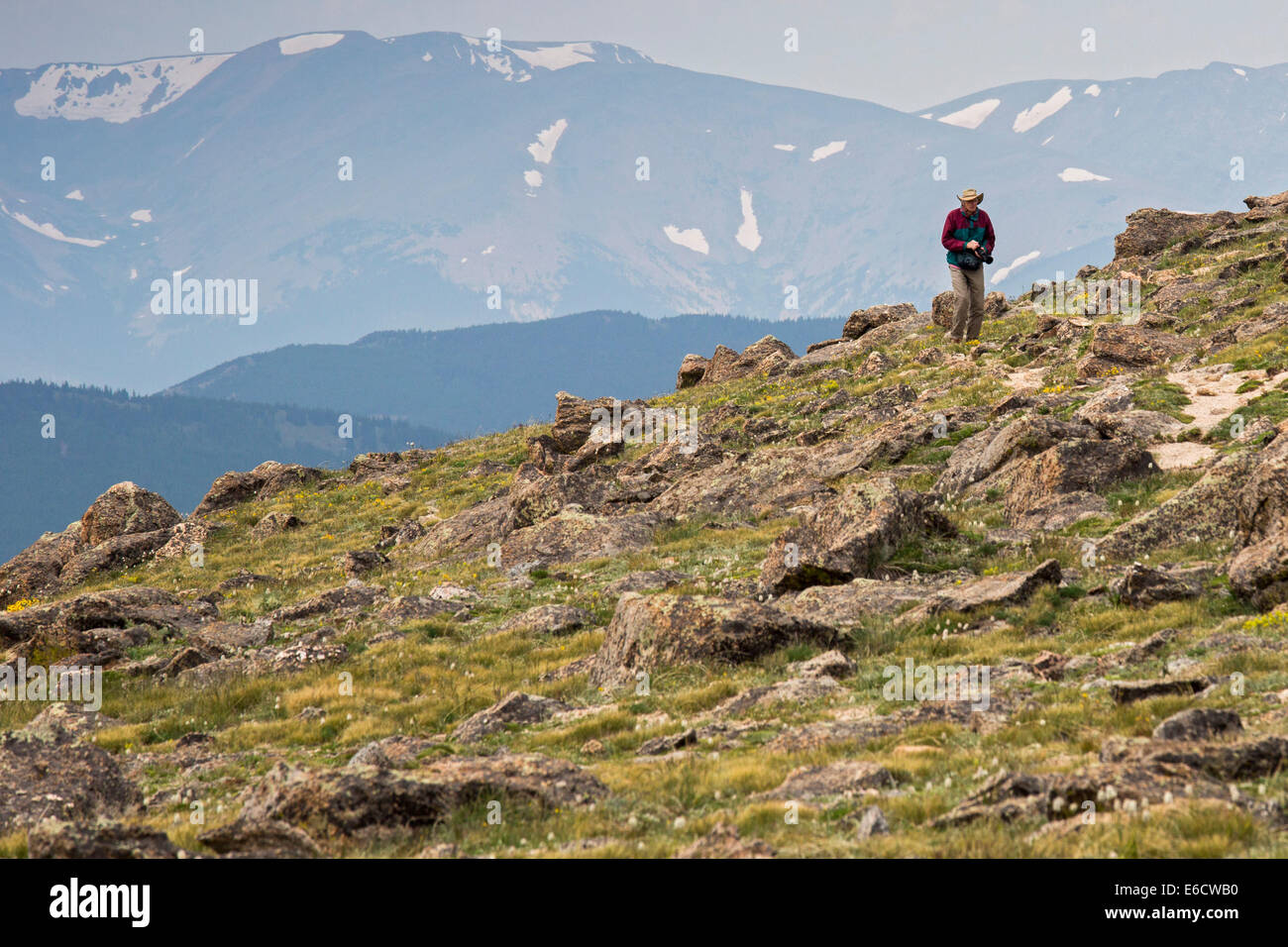 Idaho Springs, Colorado - A photographer hikes on the tundra near the summit of Mt. Evans, one of the most accessible high peaks Stock Photo