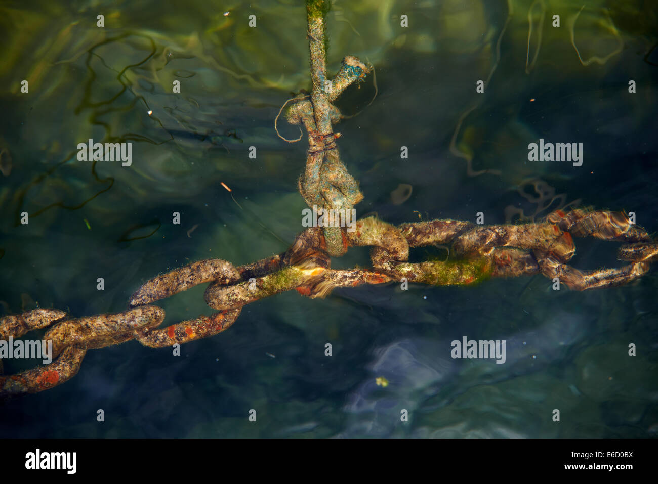 anchor chain underwater in the sea Stock Photo Alamy