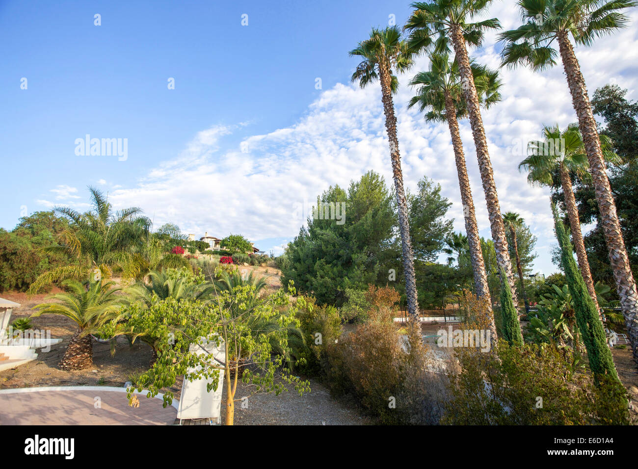 Ojai, California, USA Stock Photo Alamy