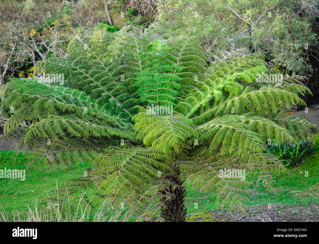Flora And Forna Stock Photos & Flora And Forna Stock Images - Alamy
