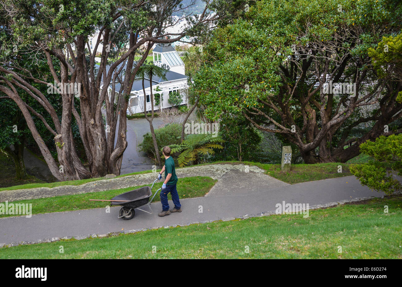 Gardener with wheel barrow in botanical gardens Wellington New Zealand