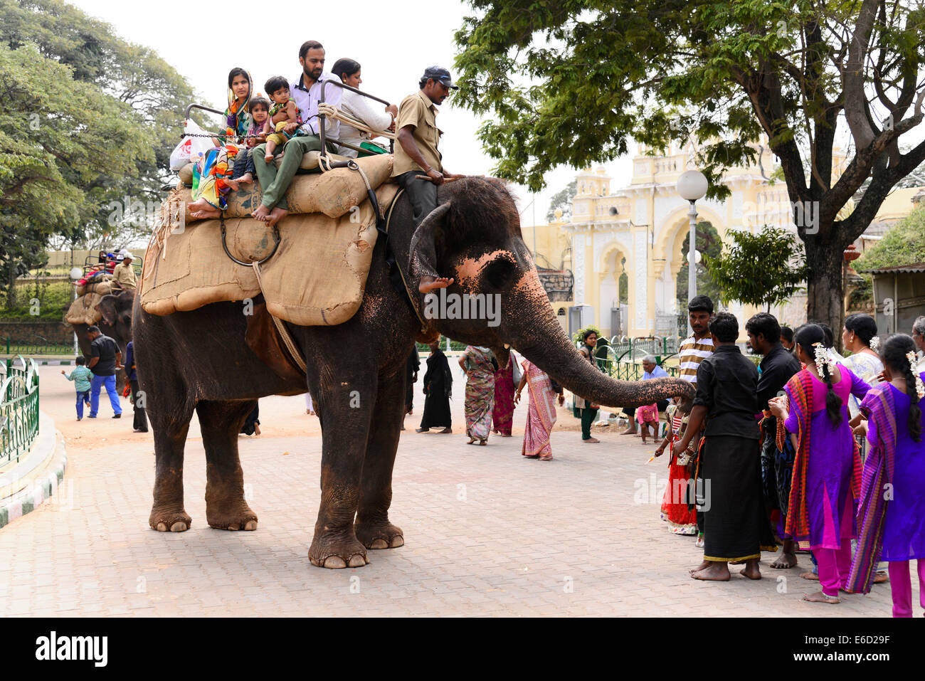 Tourists riding an elephant, Mysore Palace, Mysore, Karnataka, South