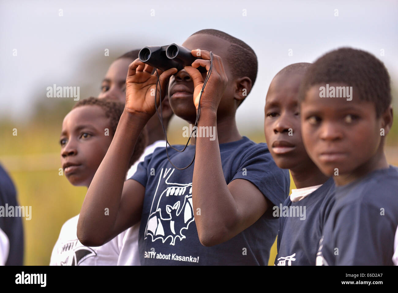 Children with flying fox T-shirts observing Palm fruit bats (Eidolon helvum) Kasanka National Park, Zambia Stock Photo