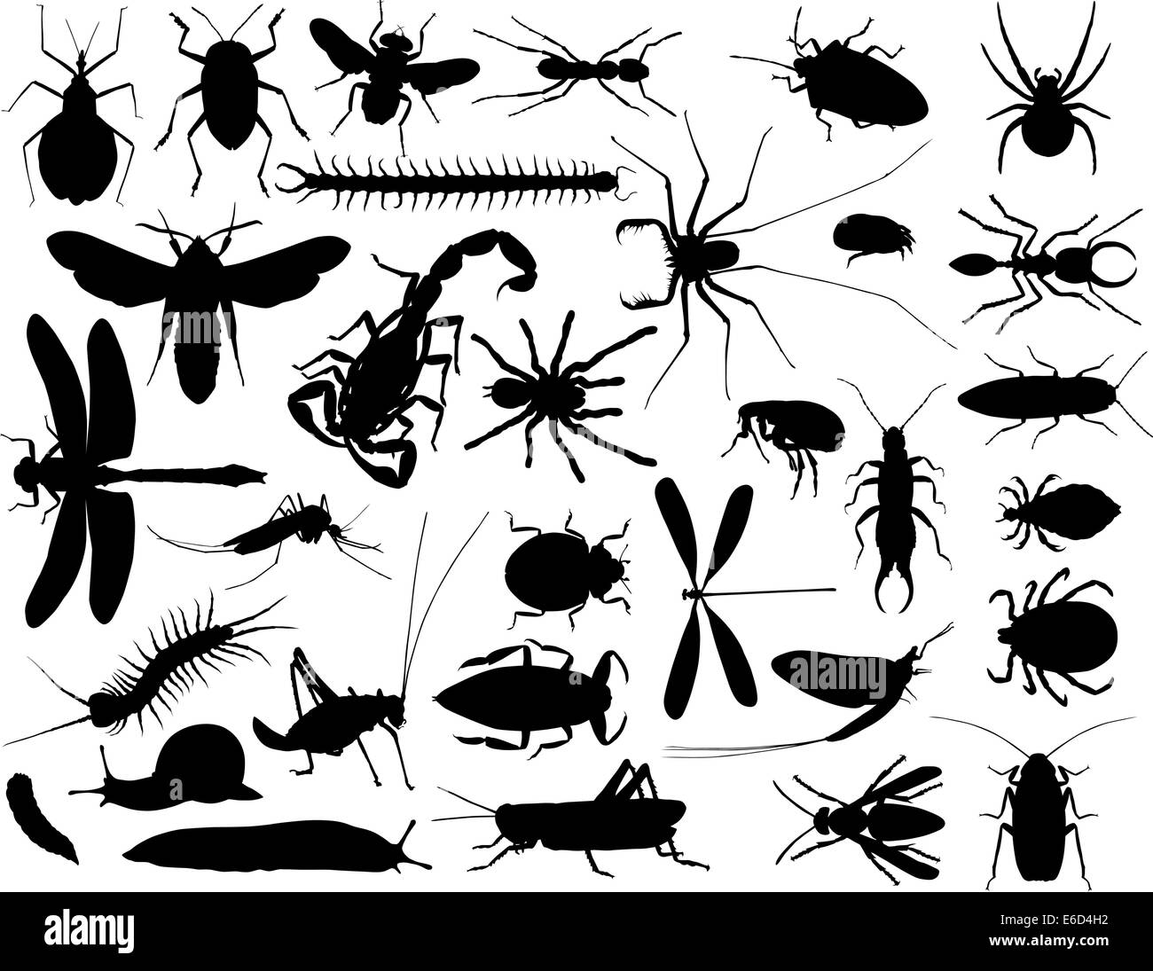 Collection of vector outlines of insects and other invertebrates Stock Vector