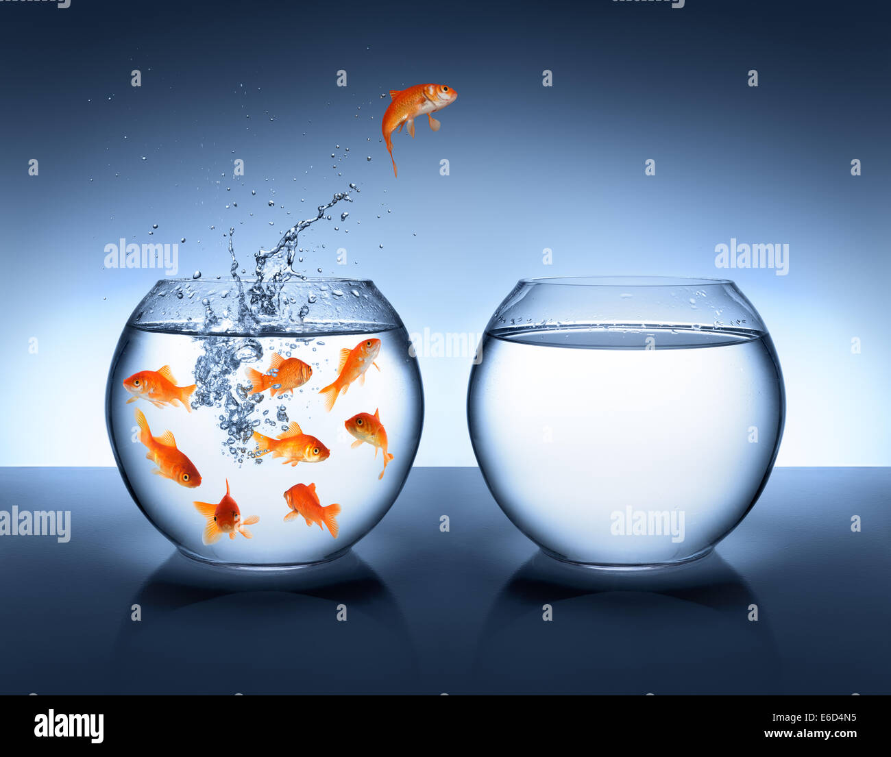 goldfish jumping - improvement and career concept Stock Photo