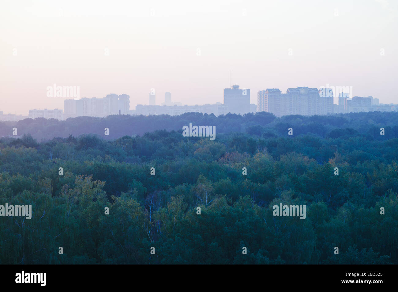 light blue early sunrise over urban houses and park in summer morning Stock Photo
