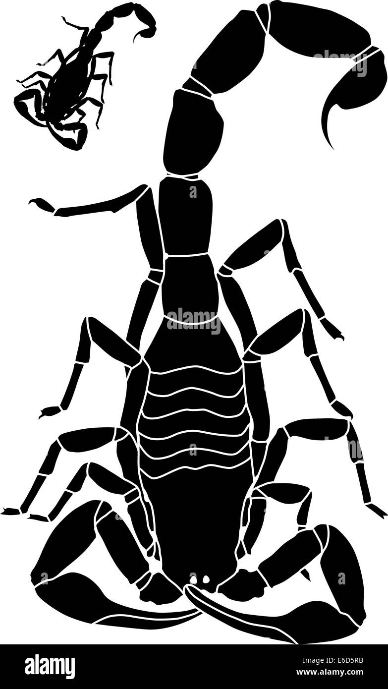 Vector illustration of a scorpion with basic outline included Stock Vector