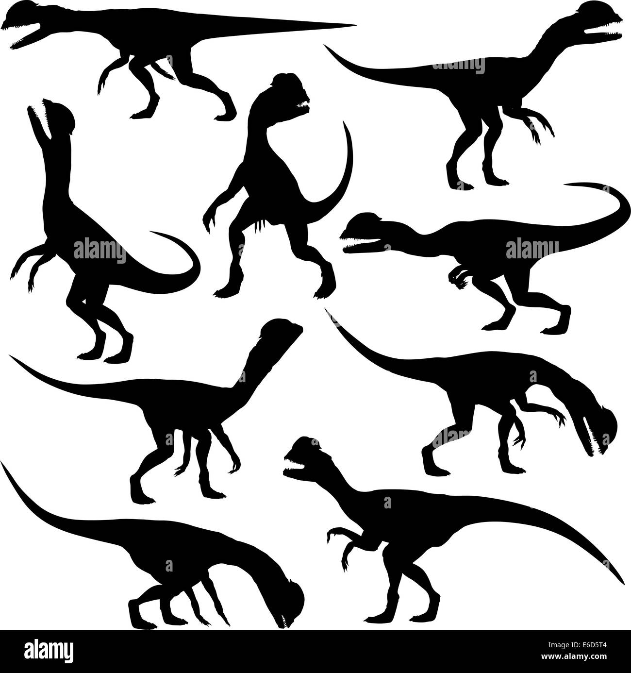 Set of editable vector silhouettes of Dilophosaurus dinosaurs in various poses Stock Vector