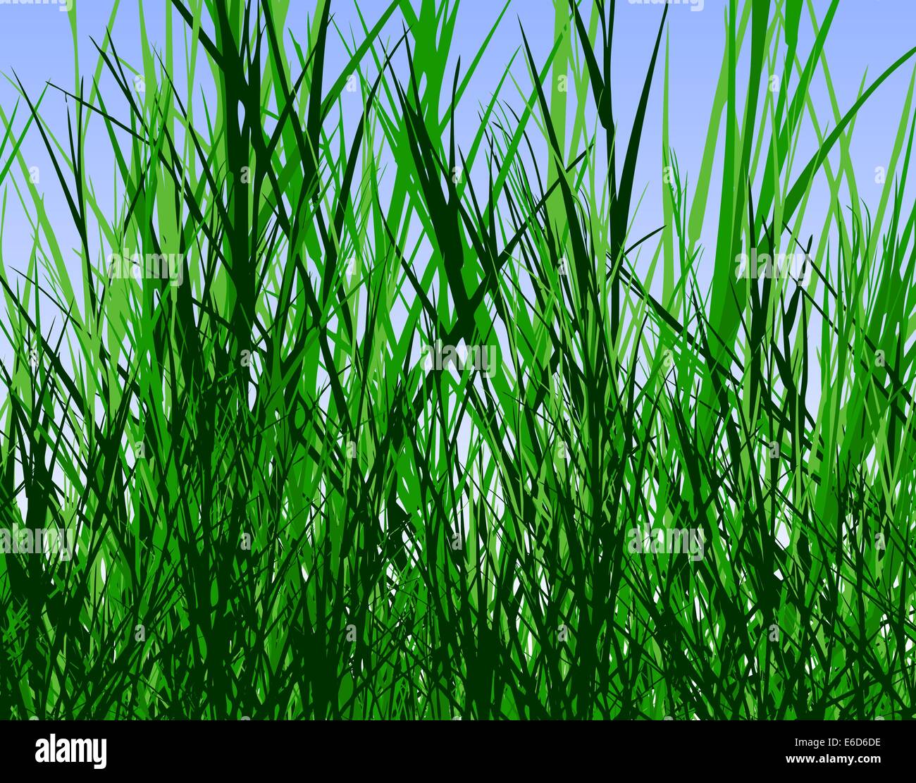 Editable vector design of tall rough grass Stock Vector
