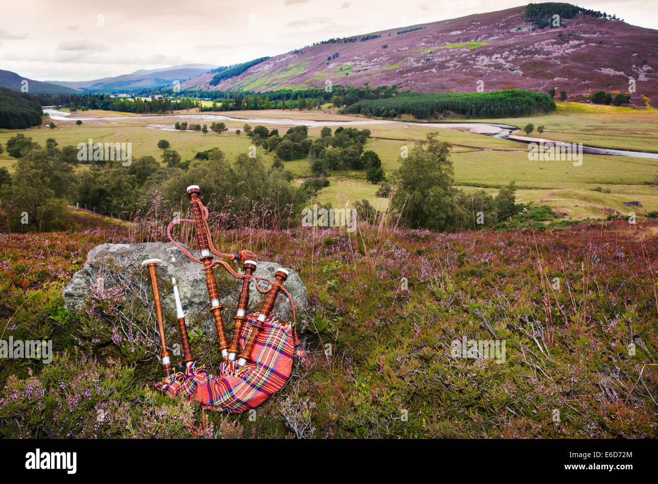 National Trust Mar Estate Bagpipes and flower Scottish heather glen