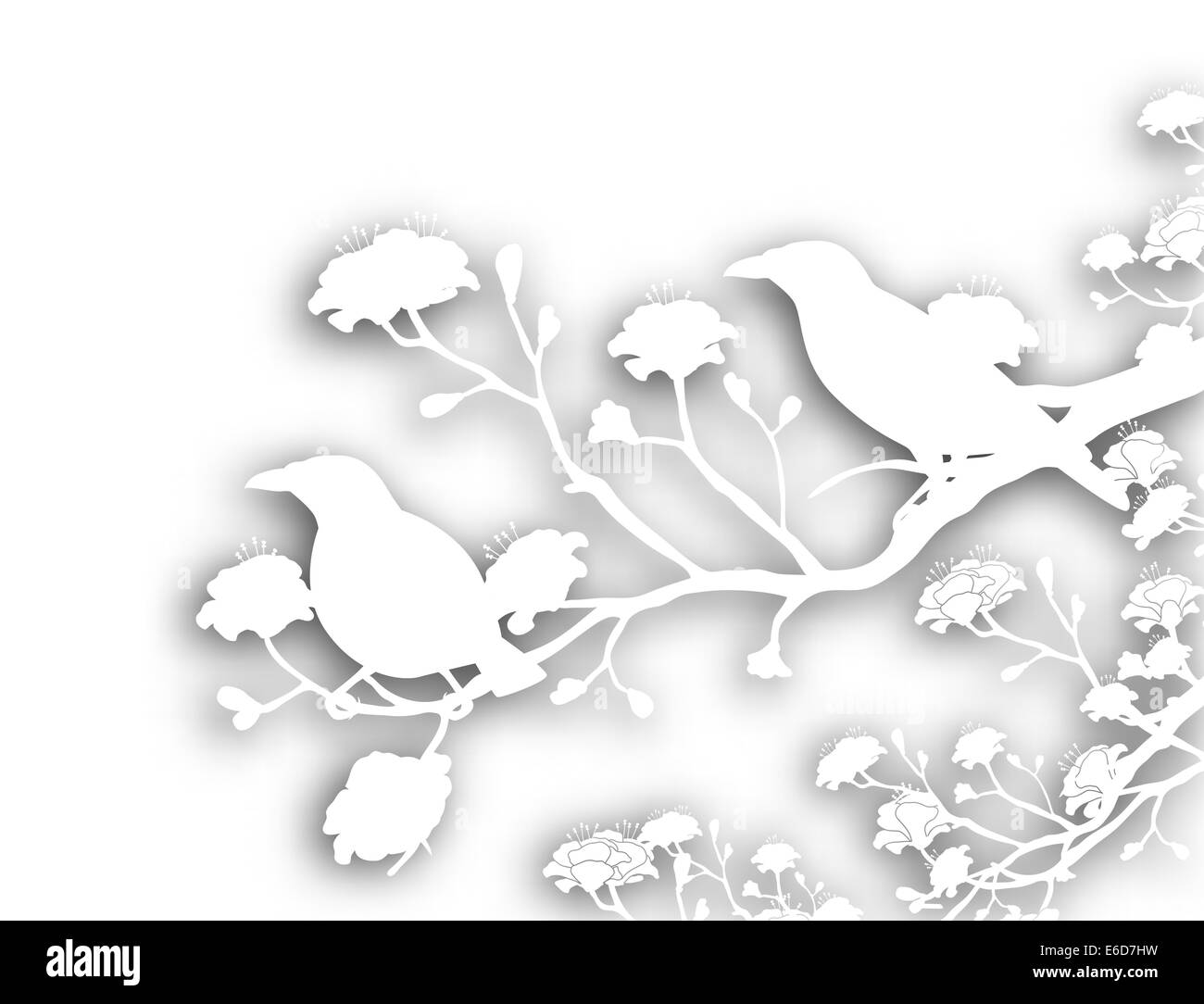 Editable vector cutout illustration of a pair of wild myna birds with background shadow made using a gradient mesh Stock Vector