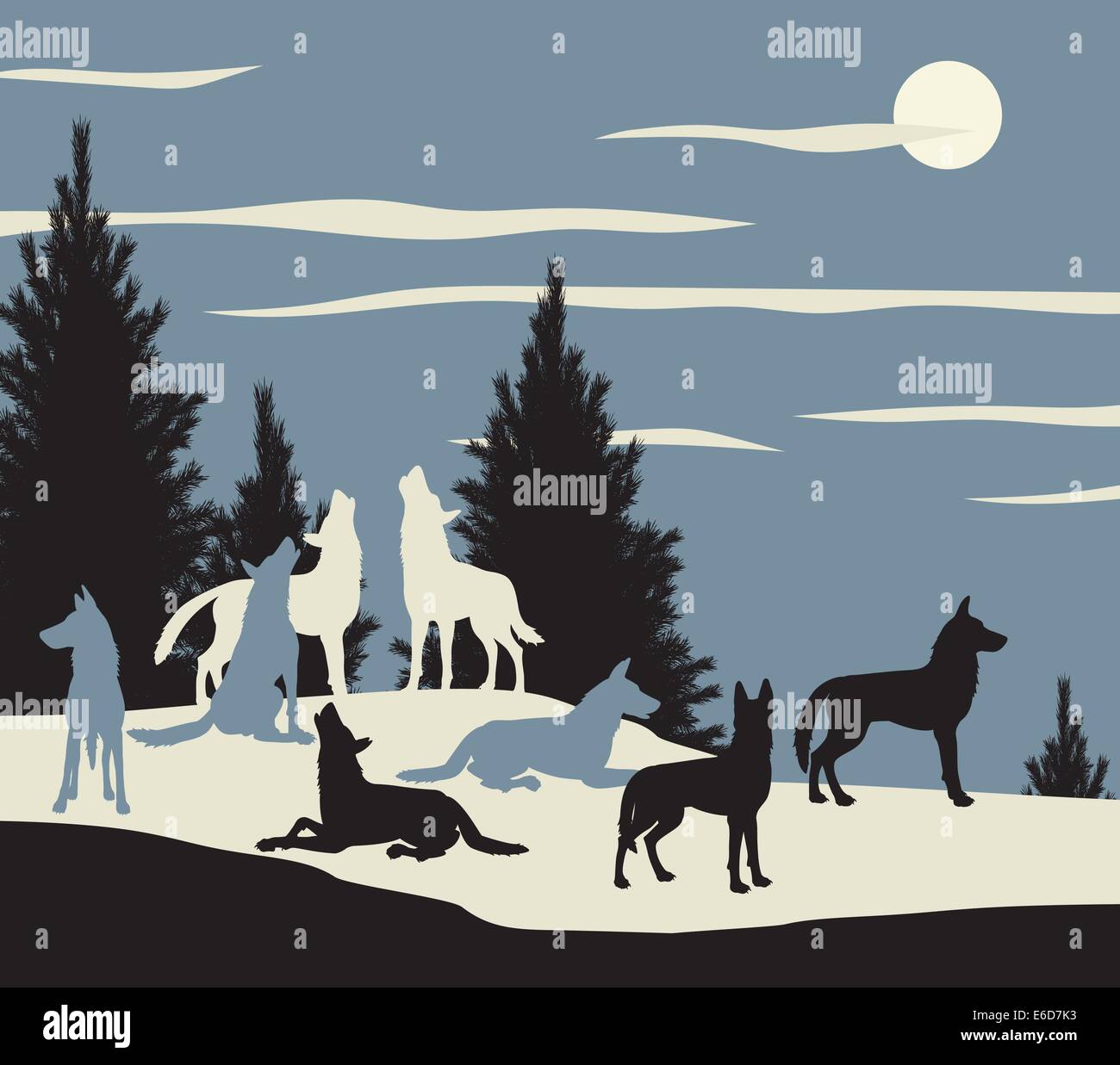 Wolf pack howling hi-res stock photography and images - Alamy Wolf pack howling hi-res stock photography and images - Alamy
