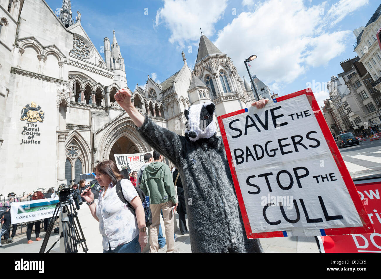 Royal Courts of Justice, London, UK. 21st August 2014. A large crowd of anti badger cull protesters gathered outside the Royal Courts of Justice as The Badger Trust was in court with a new legal challenge over the government’s badger cull policy. The organisation wants a High Court ruling stating that there has been an unlawful failure to put in place an independent panel of experts to oversee this year’s planned cull in Gloucestershire and Somerset. Credit:  Lee Thomas/Alamy Live News Stock Photo