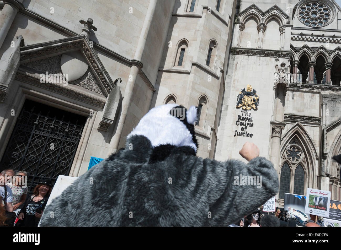 Royal Courts of Justice, London, UK. 21st August 2014. A large crowd of anti badger cull protesters gathered outside the Royal Courts of Justice as The Badger Trust was in court with a new legal challenge over the government’s badger cull policy. The organisation wants a High Court ruling stating that there has been an unlawful failure to put in place an independent panel of experts to oversee this year’s planned cull in Gloucestershire and Somerset. Credit:  Lee Thomas/Alamy Live News Stock Photo