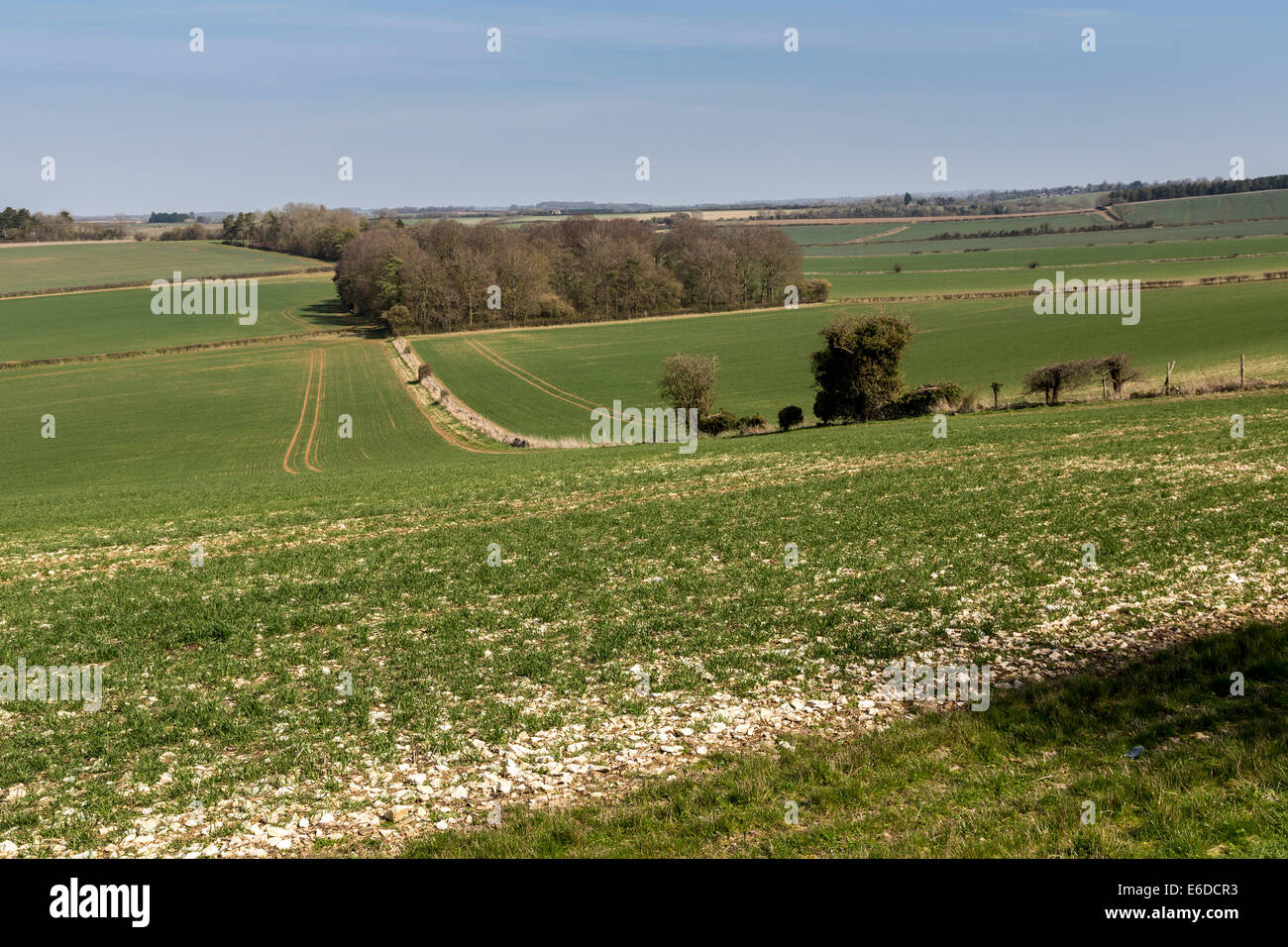 Stony soil in fields, Cotswolds, England, UK Stock Photo