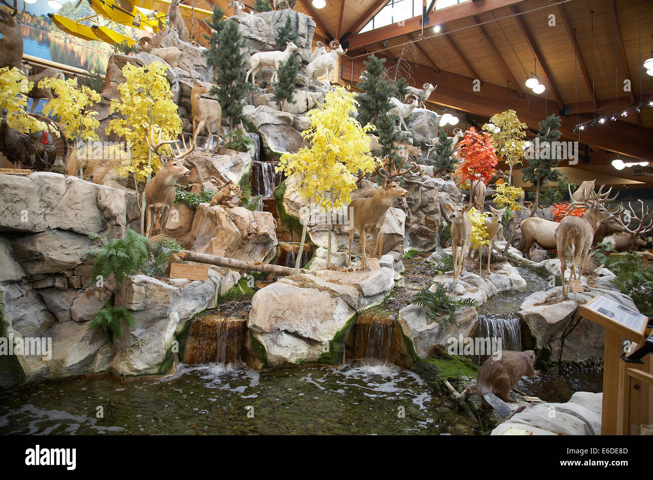 Cabelas shop hi-res stock photography and images - Alamy