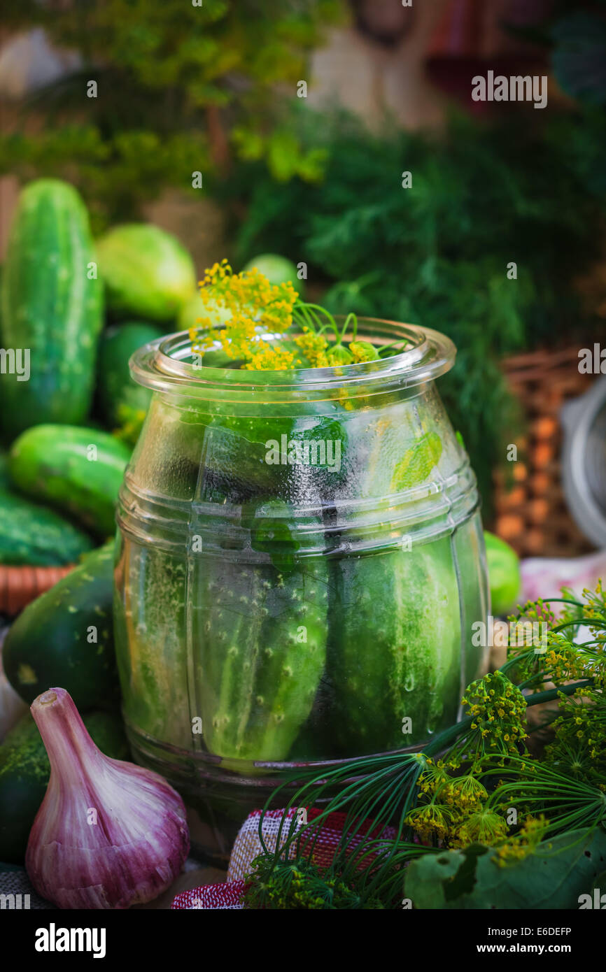 Jar of pickles and other ingredients for pickling Stock Photo
