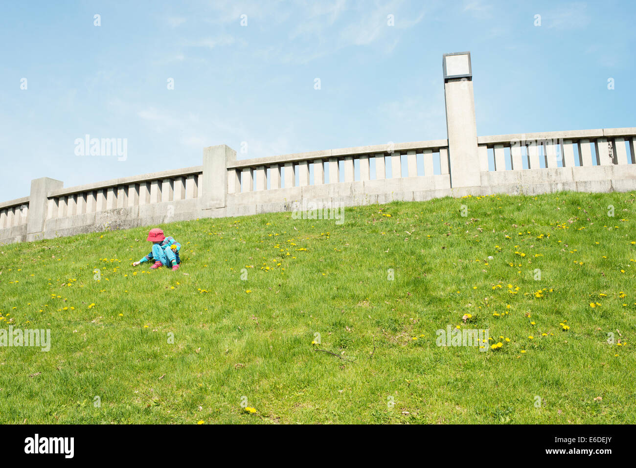 Young girl sitting on grass, picking flowers in park. Stock Photo