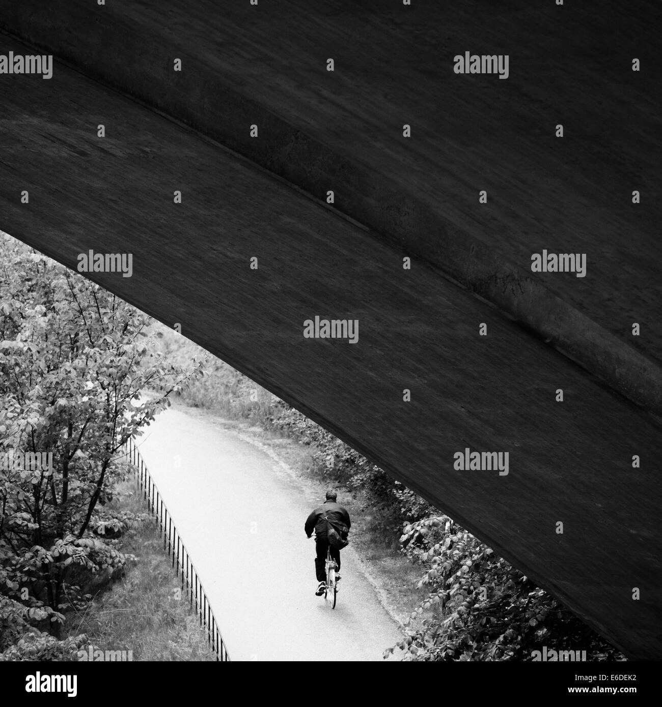 Man riding a bicycle on bike path Stock Photo