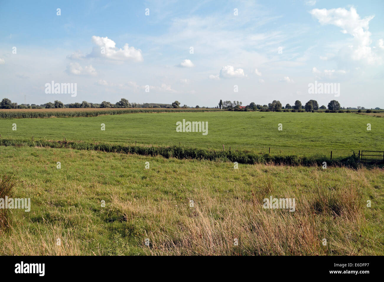 VIew south from close to the Lonsdale Church, Oosterbeek, near Arnhem, Netherlands. Site of Operation Berlin in 1944. Stock Photo