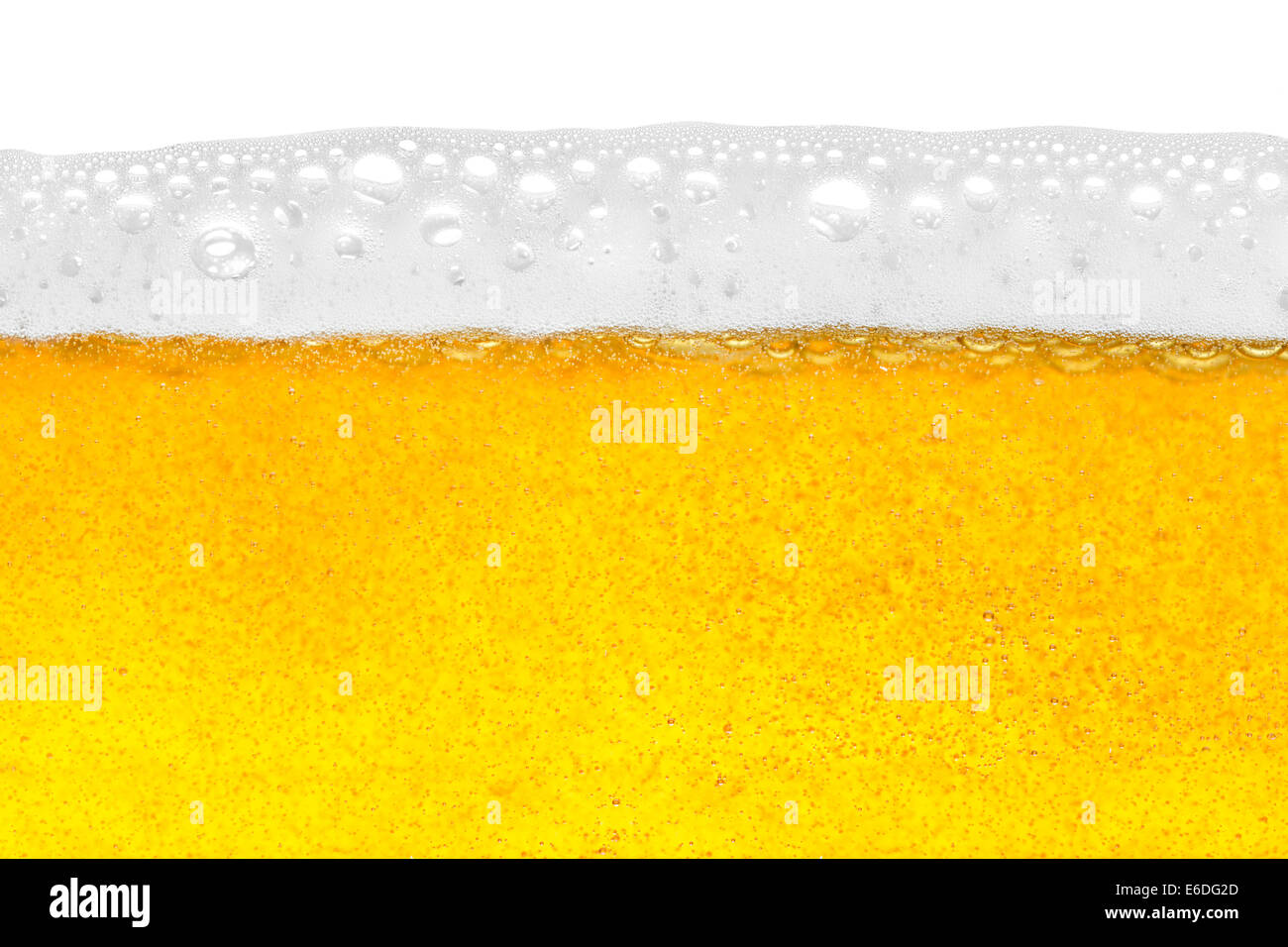 beer in close-up shot Stock Photo