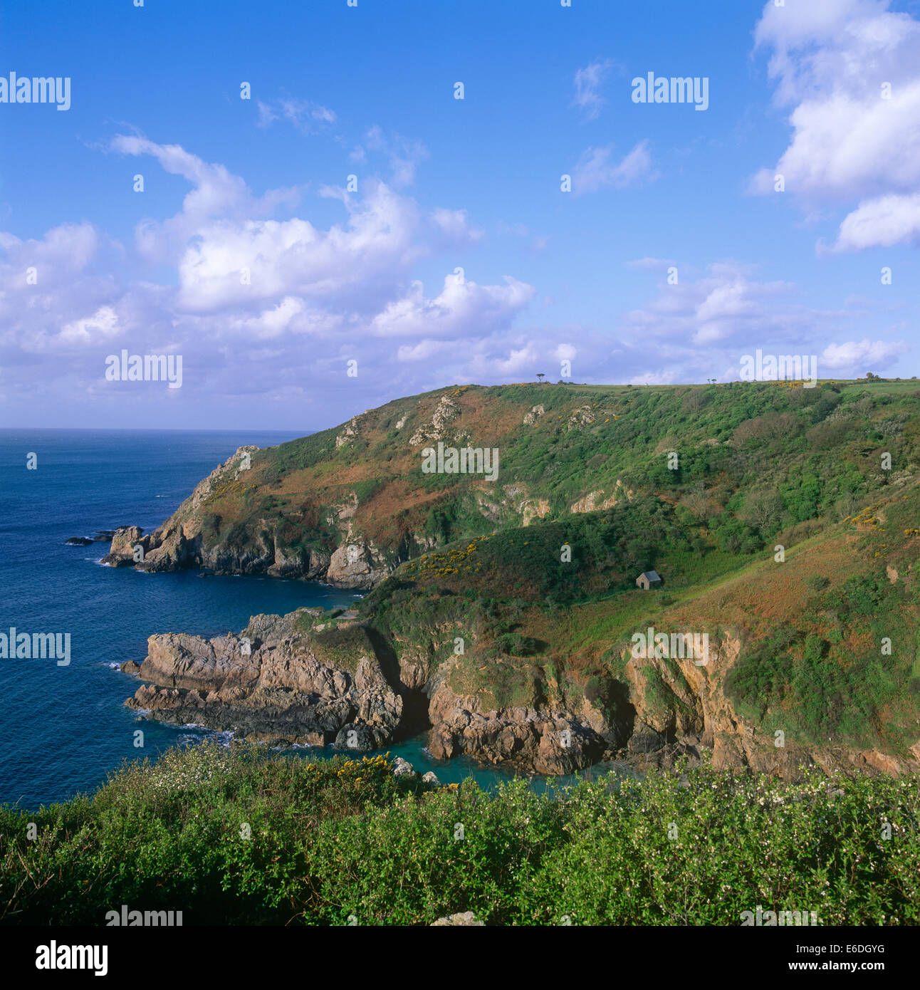 forest petit bot guernsey channel islands uk Stock Photo