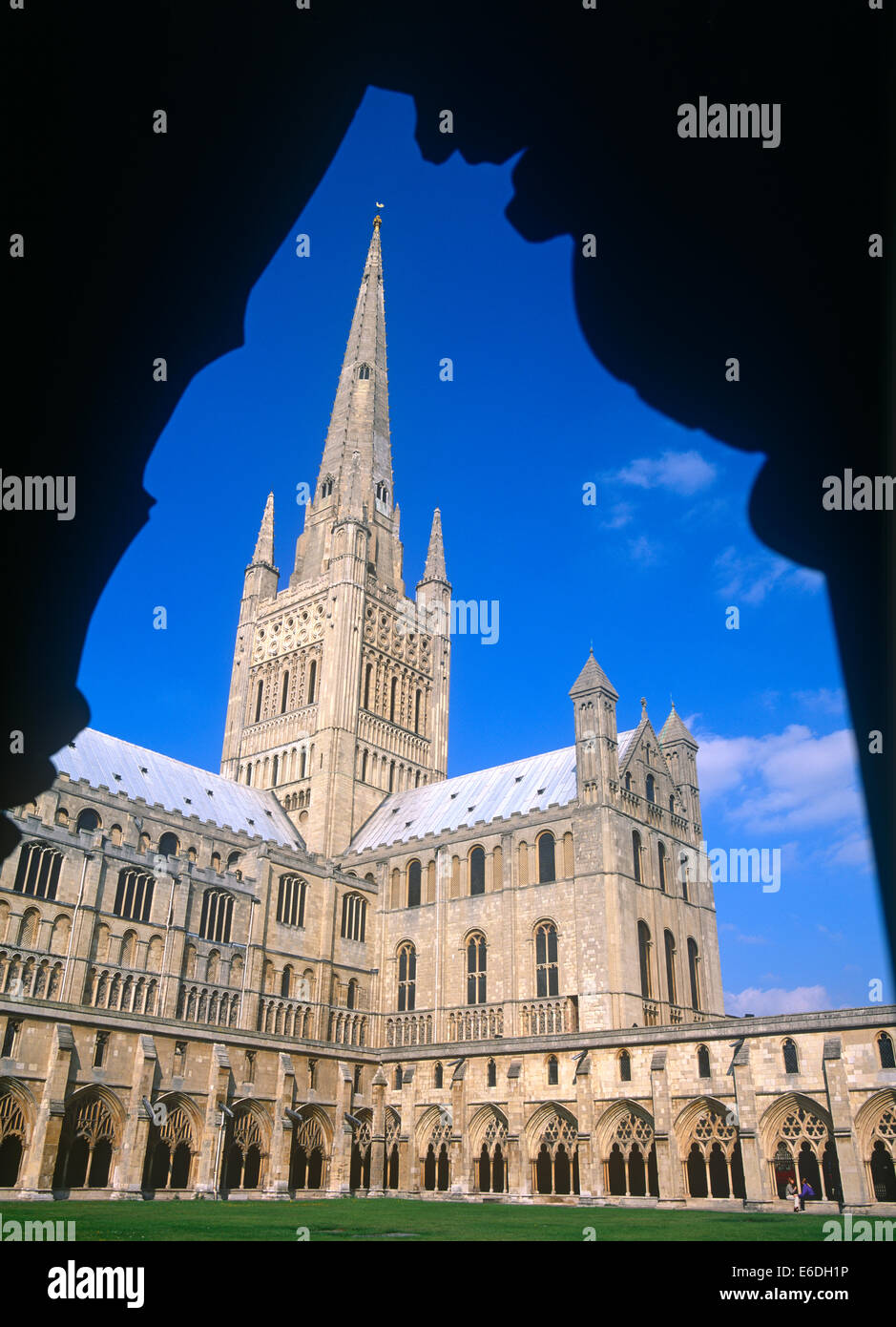 Cathedral norwich norfolk uk Stock Photo