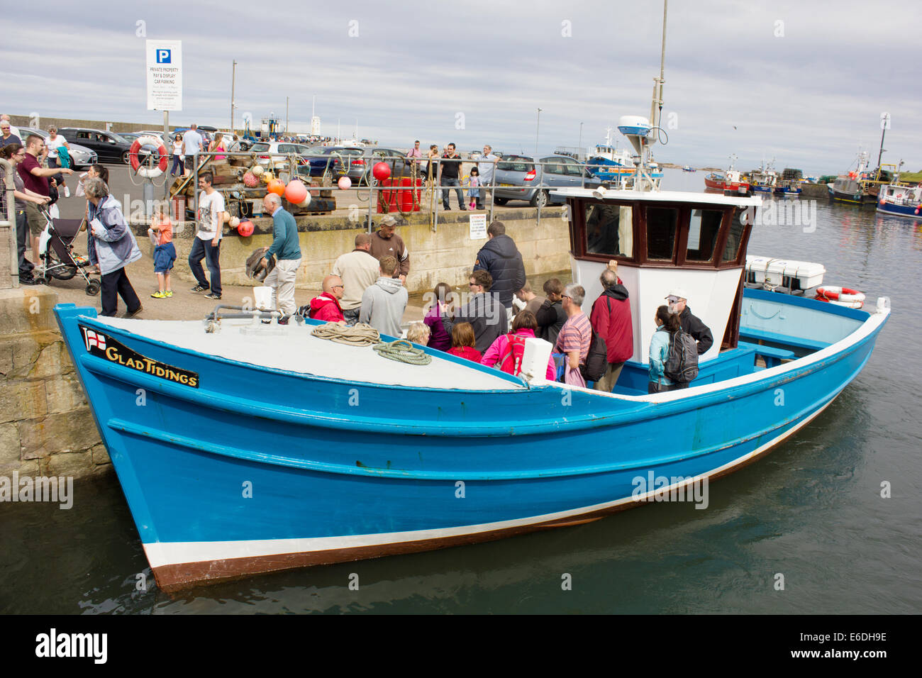 Glad Tidings day trip boat returned from the Farne Islands, Seahouses harbour , Northumberland, with passengers disembarking Stock Photo