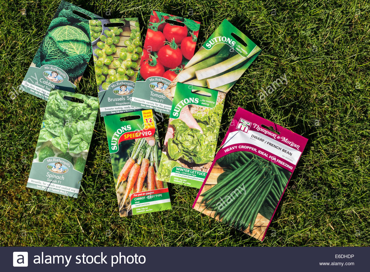 Seed Packet Vegetable Stock Photos & Seed Packet Vegetable Stock Images
