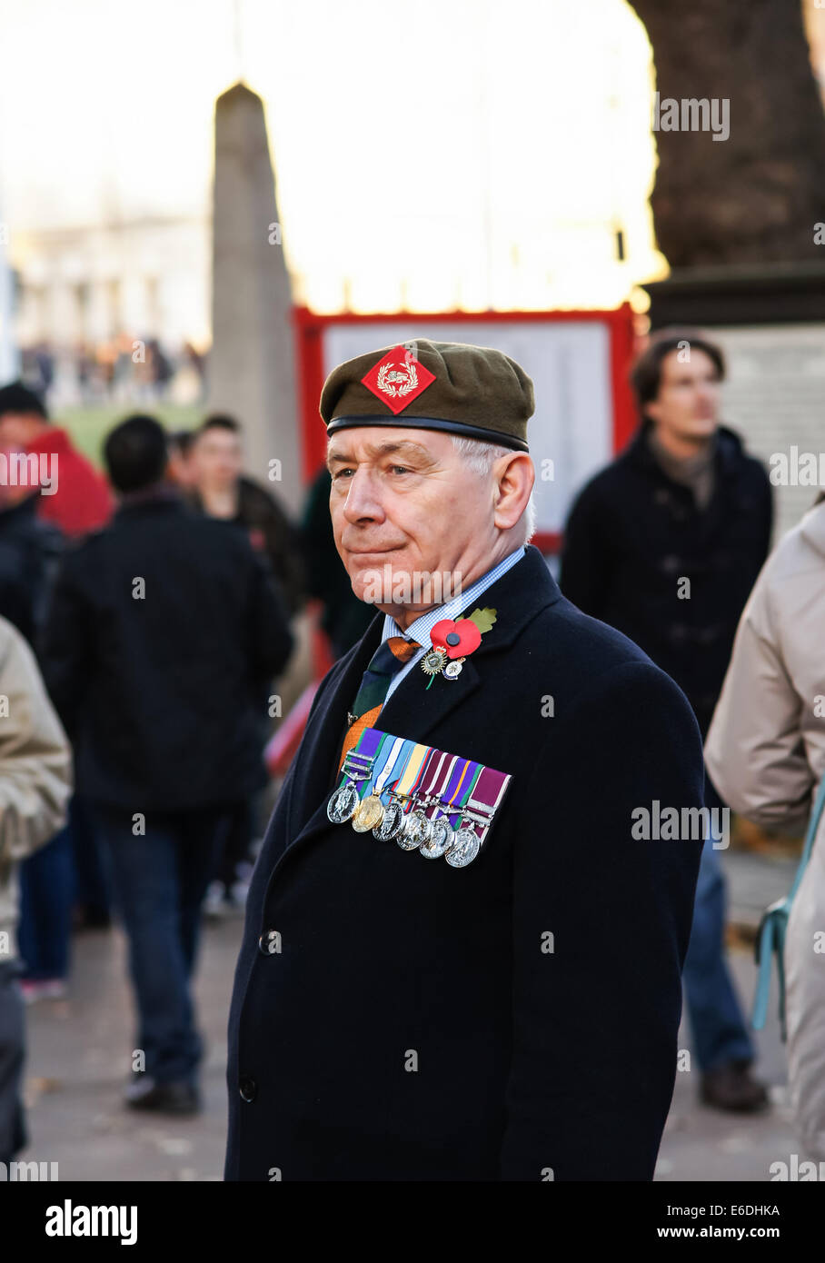 British war veteran during a Remembrance Sunday ceremony, London England United Kingdom UK Stock Photo
