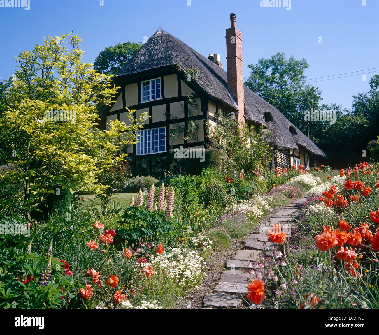 Eastnor Castle Estate Herefordshire UK Stock Photo Alamy