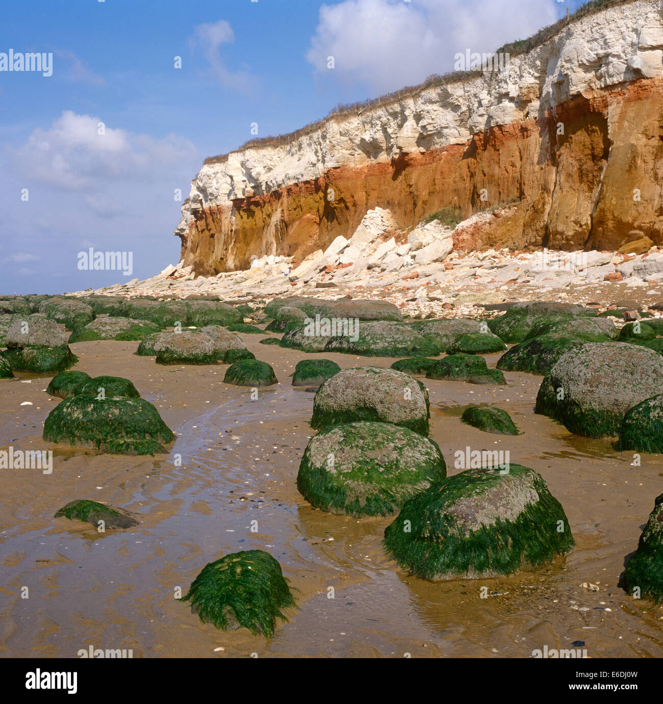 Chalk cliff formation uk hi res stock photography and images Alamy Chalk cliff formation uk hi res stock photography and images Alamy