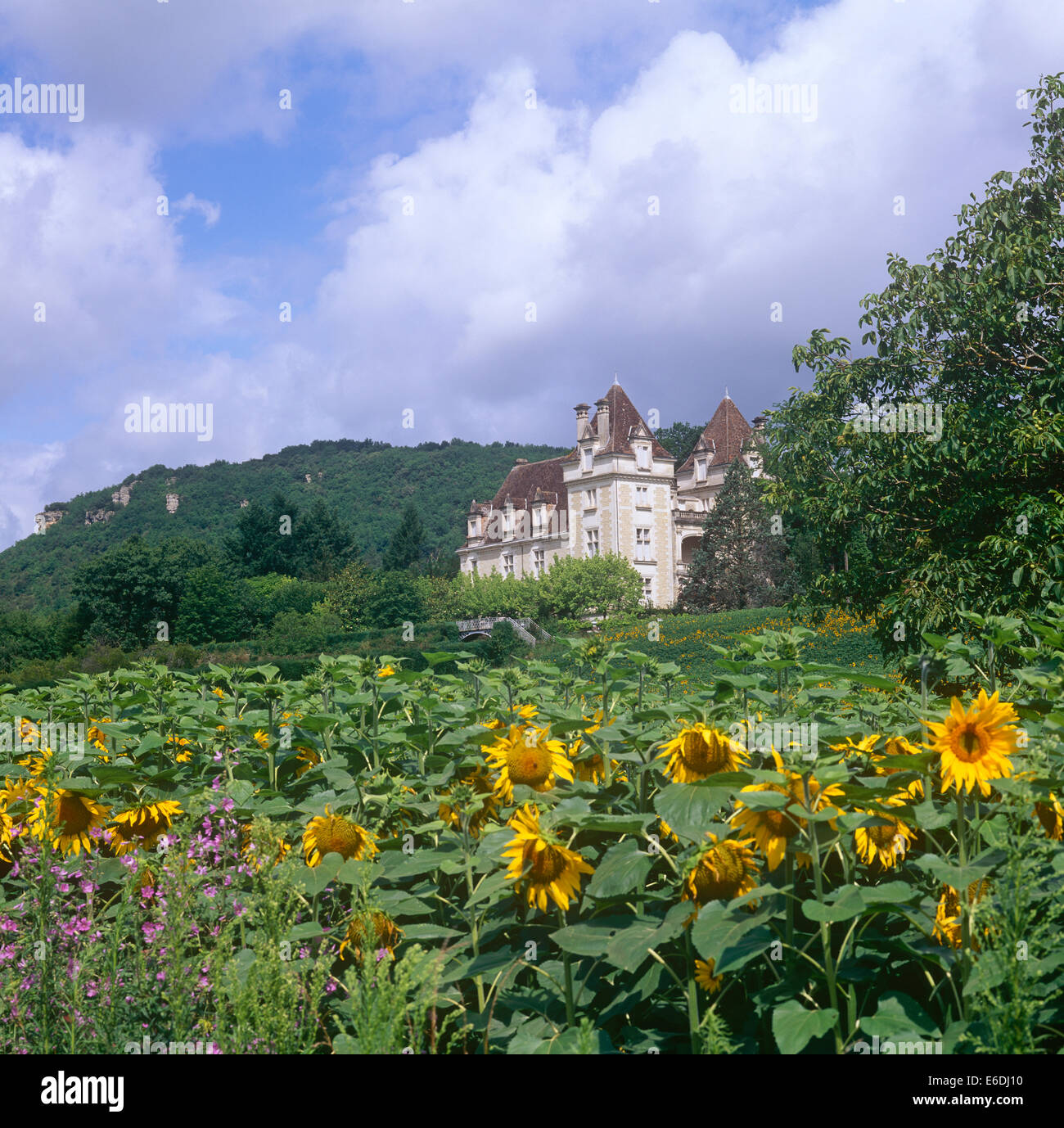 Scene Bergerac Dordogne France Stock Photo