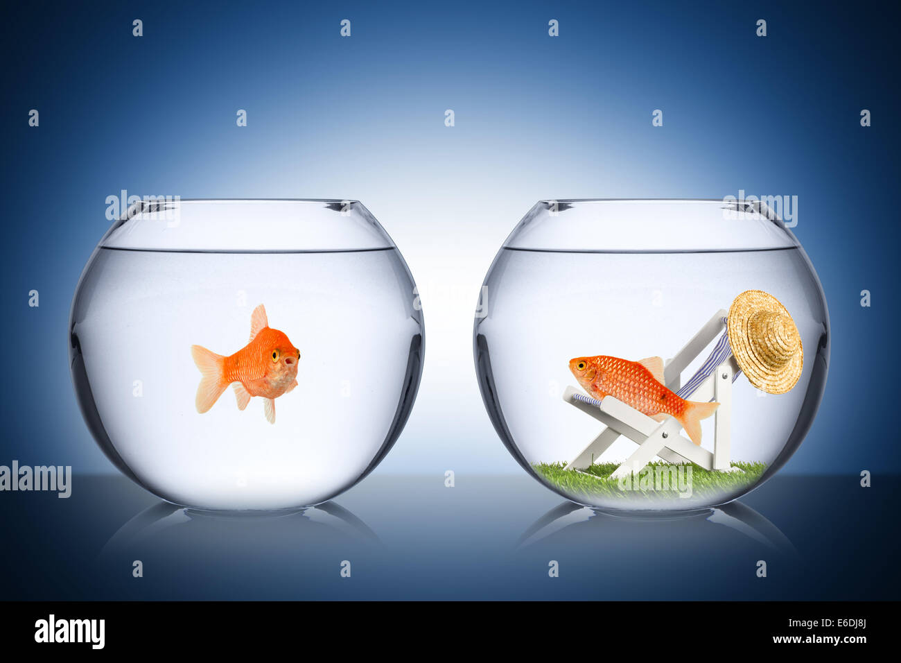 holiday fish concept Stock Photo