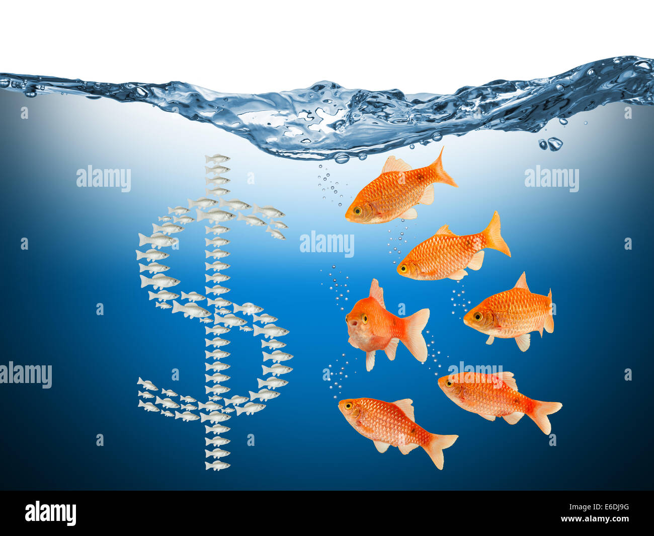 fish speculation concept with dollar symbol Stock Photo