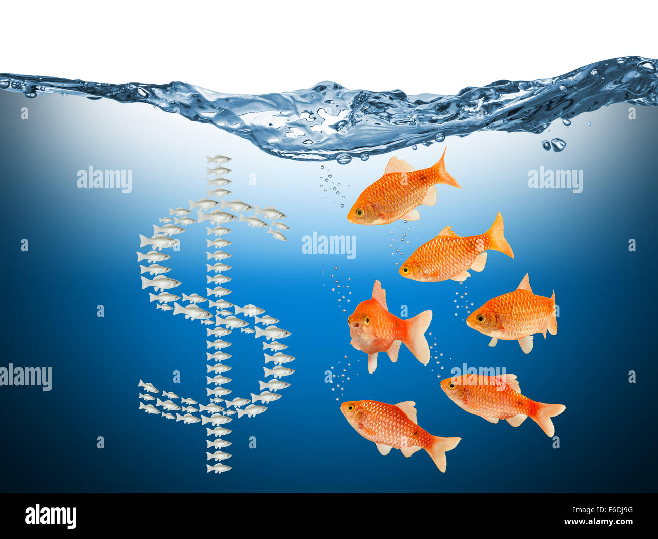 Goldfish money hi-res stock photography and images - Alamy