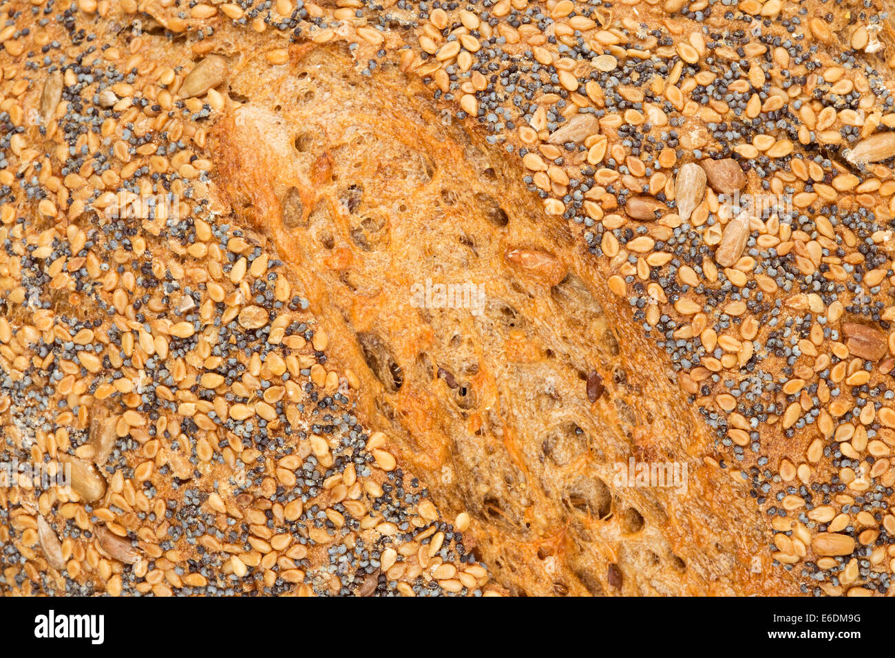 close-up of an multi grain bread Stock Photo