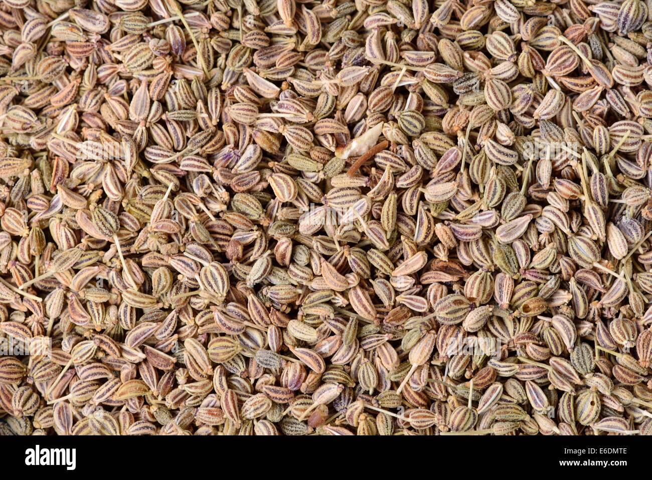 Ajwain lovage seeds close up Stock Photo Alamy