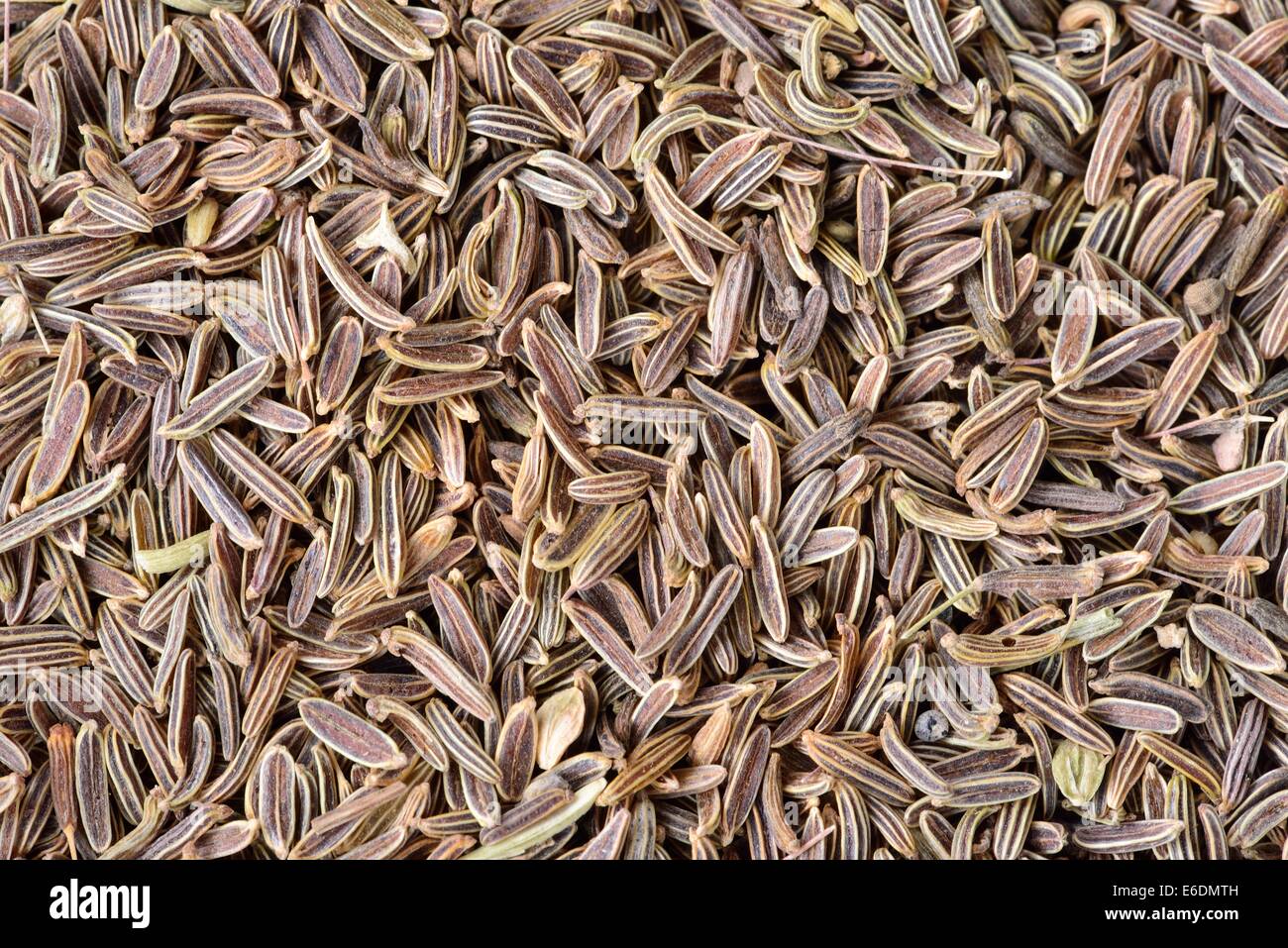Black cumin seeds close up Stock Photo Alamy